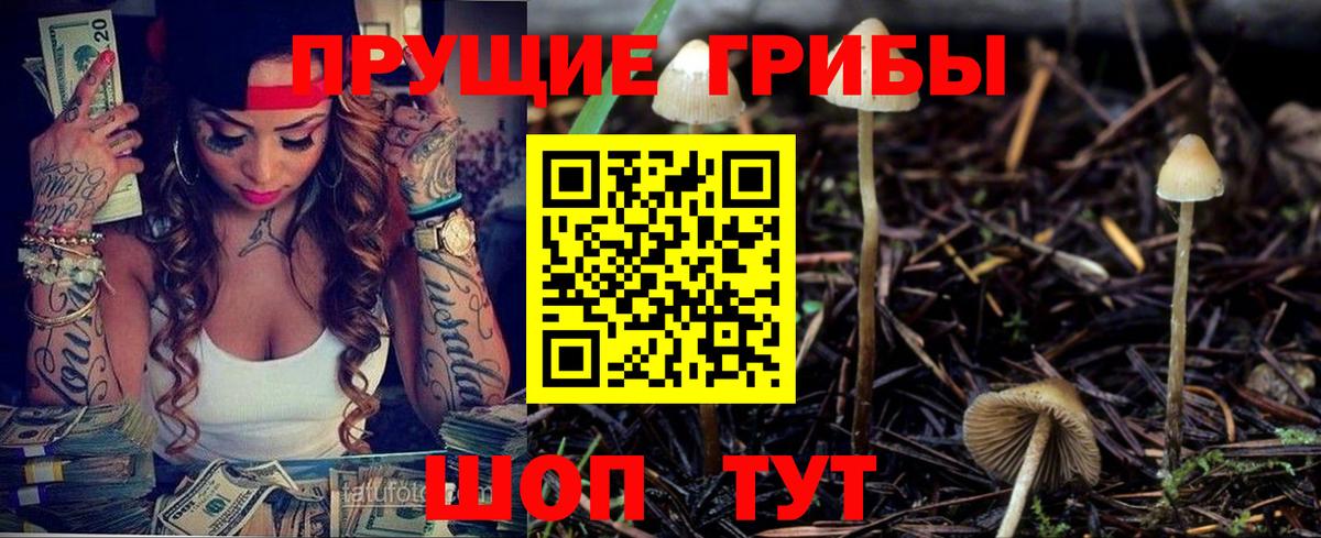 Псилоцибиновые грибы Cubensis Мичуринск